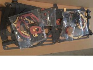 V28 Lower Engine Gasket Kit 3017564, New